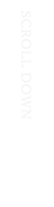 SCROLL DOWN